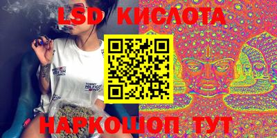герыч Кингисепп