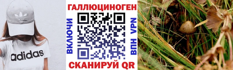 Псилоцибиновые грибы мицелий  Узловая 