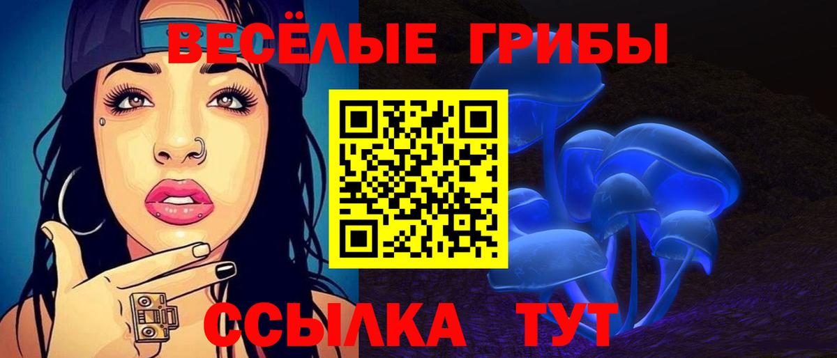 Галлюциногенные грибы Psilocybe  Псилоцибиновые грибы MAGIC MUSHROOMS  Узловая  Вход с VPN 